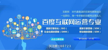 聯網運營師如何高效經營電子商務 策略與實踐