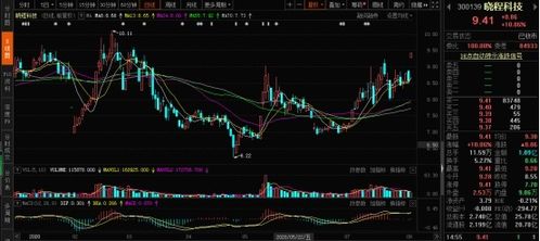 玉米高位運行 飼料行情起飛，計算機軟件板塊投資機遇顯現(xiàn)